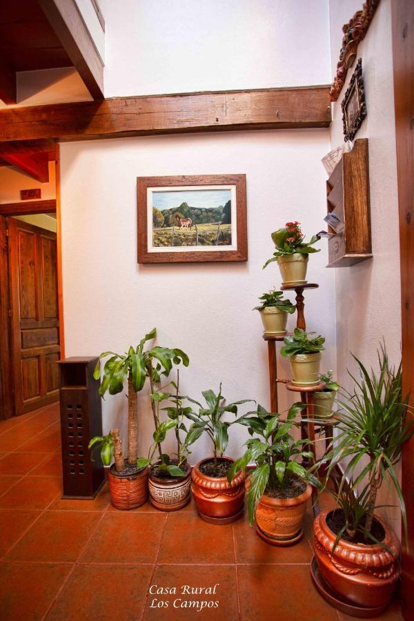 Corao Casa Rural Los Campos מראה חיצוני תמונה
